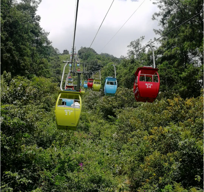 1630974052897700.png 7.png